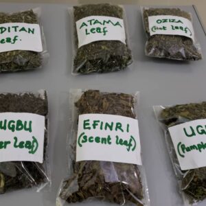 Onugbo/Ewuro (Bitter Leaf)