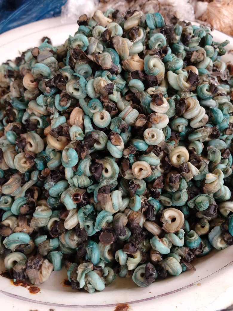 Periwinkle (Big) - Image 2
