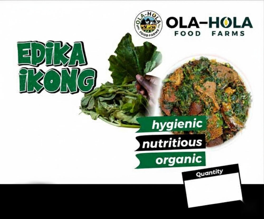 Edikang Ikong
